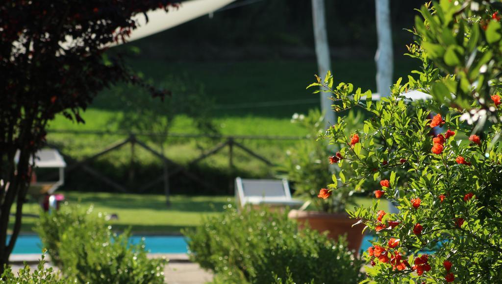 L'Ariete Guest House Montone  Exterior photo